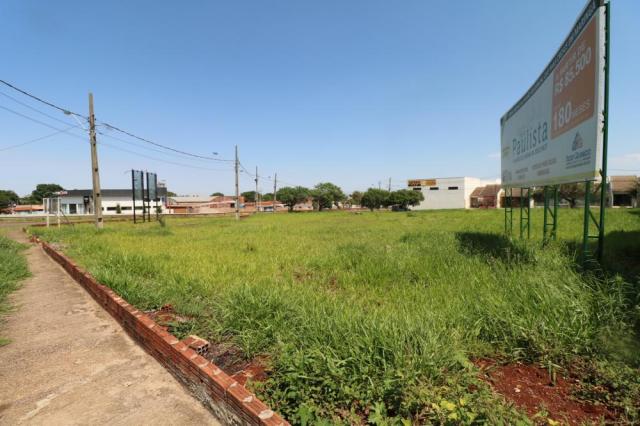 Terreno para alugar em Jardim colina verde, Maringa cod:L51431 - Foto 4