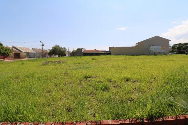 Terreno para alugar em Jardim colina verde, Maringa cod:L51431 - Foto 11