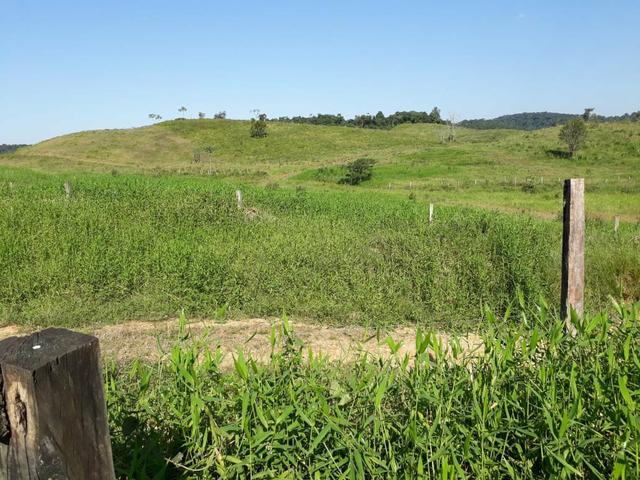 Fazenda completa - Foto 10