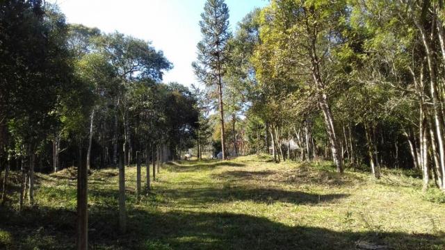 Chácara à venda, 6904 m², com 1 construção, loteamento areia branca dos nogueiras- mandiri - Foto 5