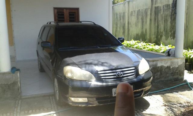 Corolla Fielder