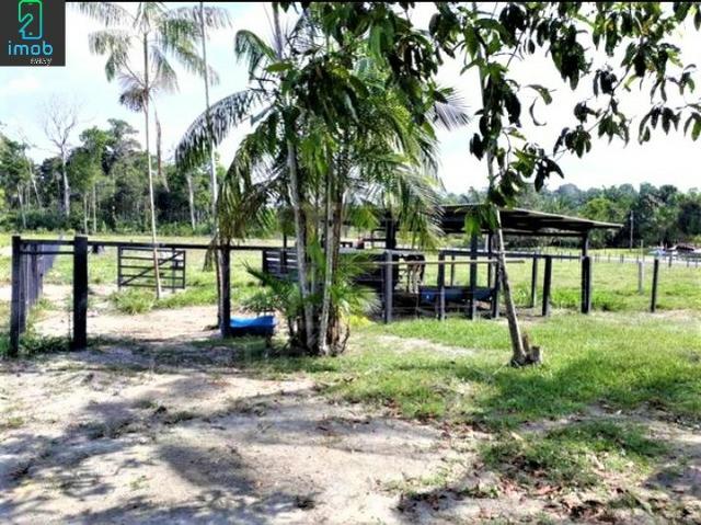 Vendo Fazenda em Novo Airão - Foto 5