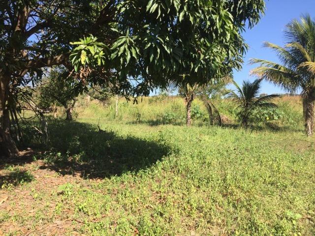 Chácara Setor Eli Forte - Goiânia-Oportunidade - Foto 6