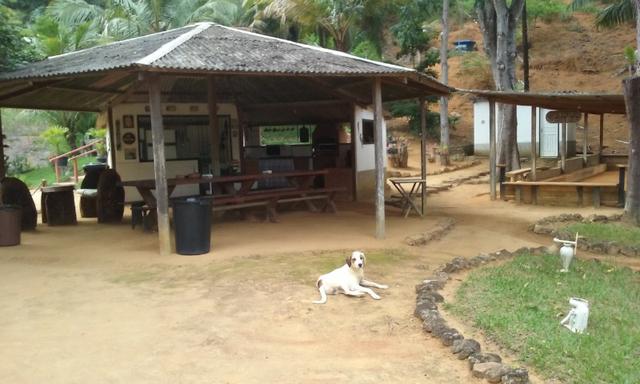 Alugo sítio em Santa Teresa/ES - Foto 14