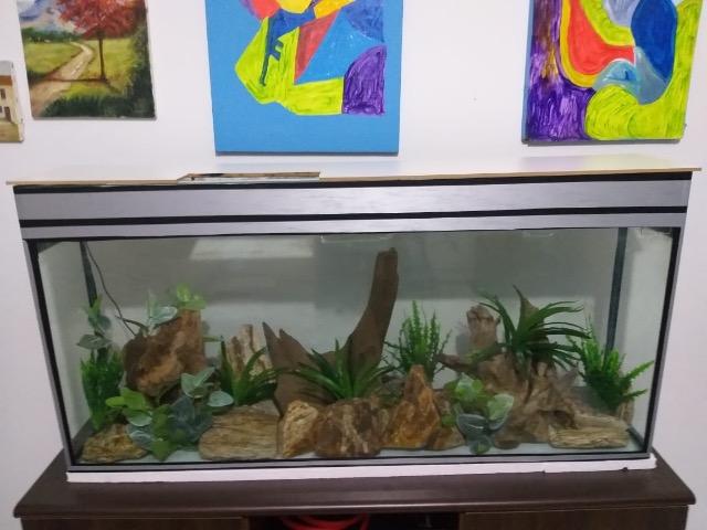 Aquário projetado por um Decorador - Foto 4