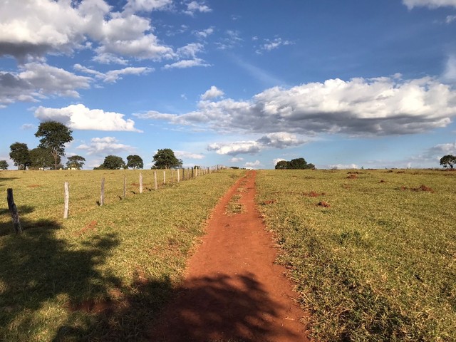 Fazenda de 91 alqueires em Guapo-Go 