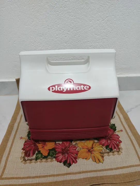  Culler Portátil Playmate - Foto 4