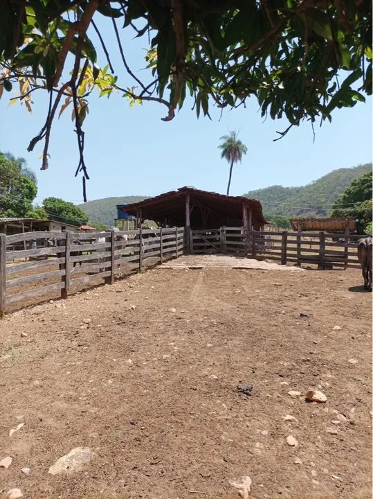 Fazenda de 24 alqueires Santa Rosa-GO - Foto 5