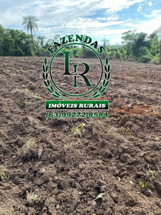 Chácara/Fazenda 6.5 Alqueires