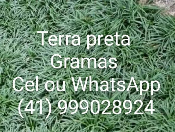 Grama  - Foto 5
