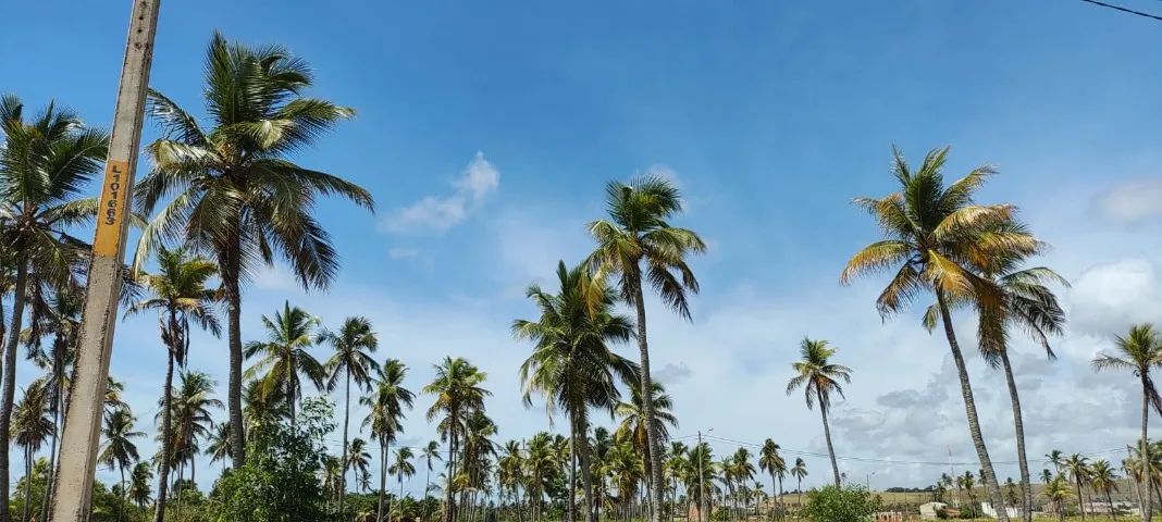 Vende-se Terreno em São José da Coroa Grande Próximo a Praia - Foto 2