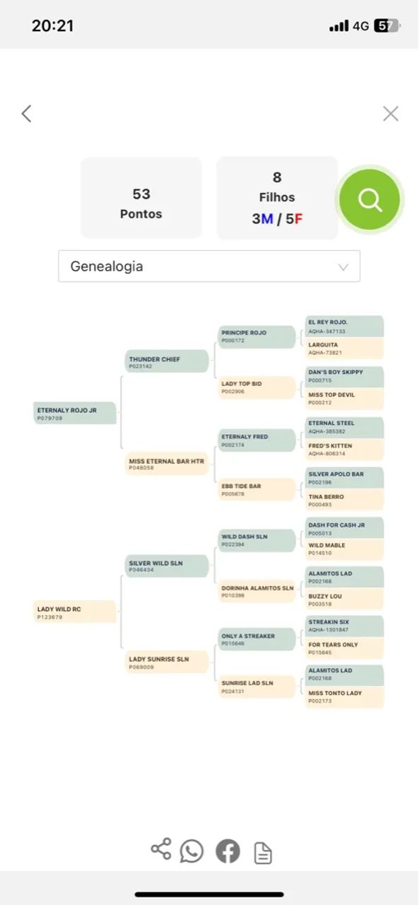 Potro QM   s/Registro  - Foto 5
