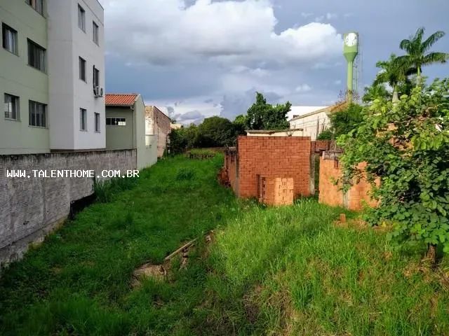 Terreno para Venda em Jataizinho - Foto 3