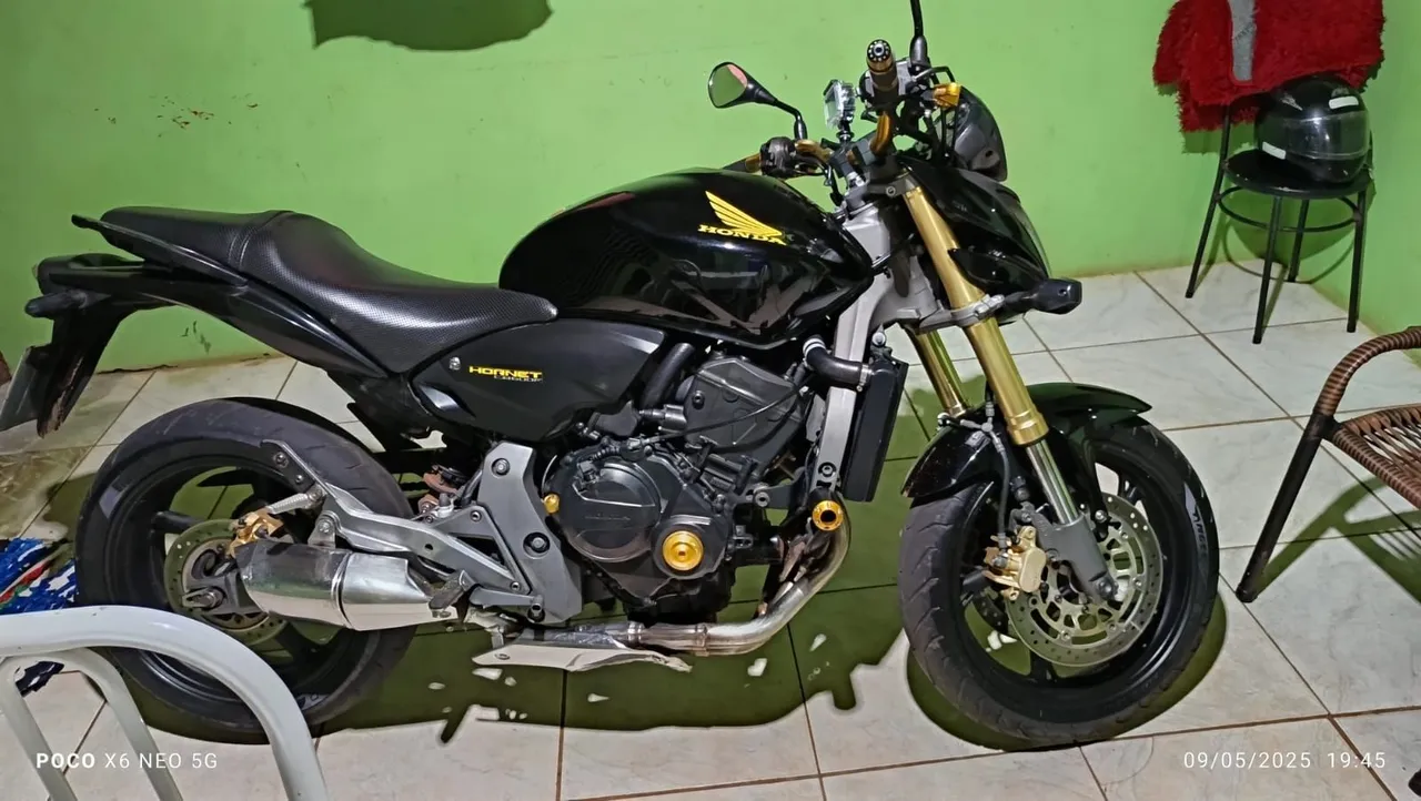 Hornet f 2010