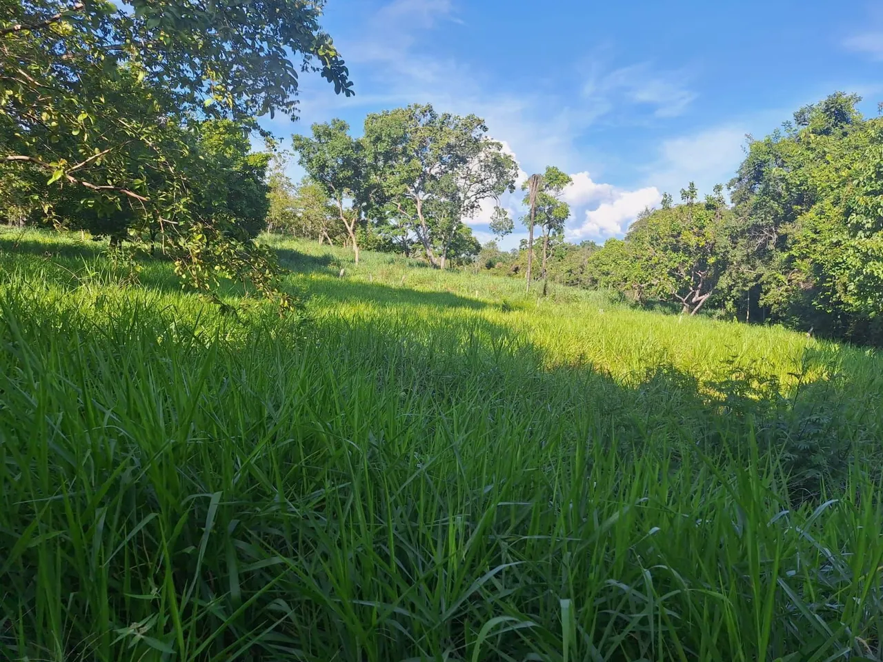 Fazenda na Br 226