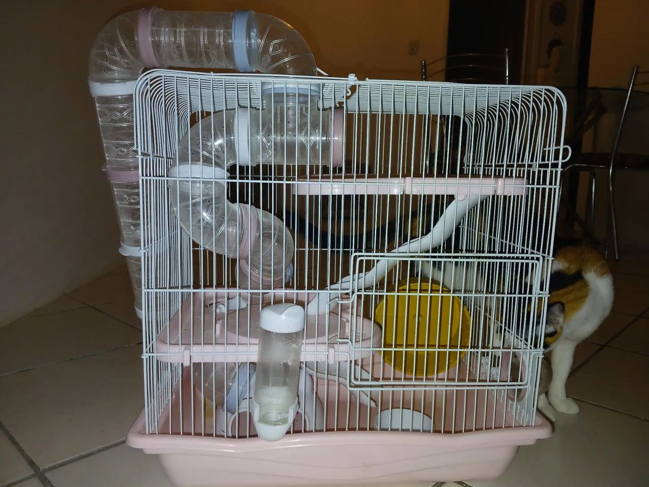 Gaiola para hamister e Roedores 