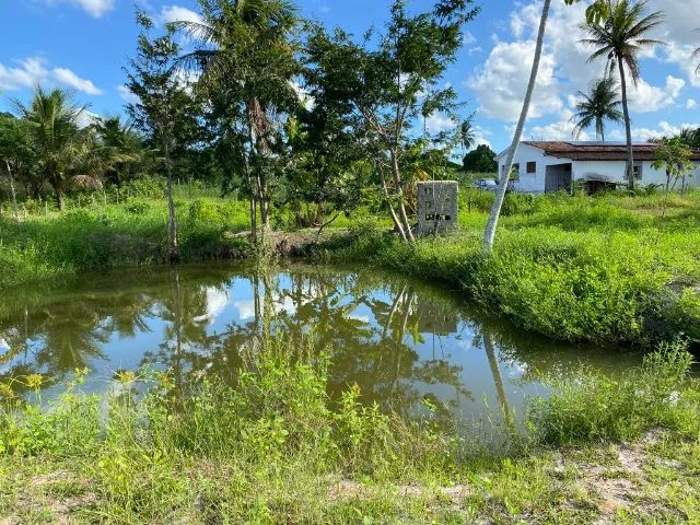 Foto - João Pessoa - Bancários