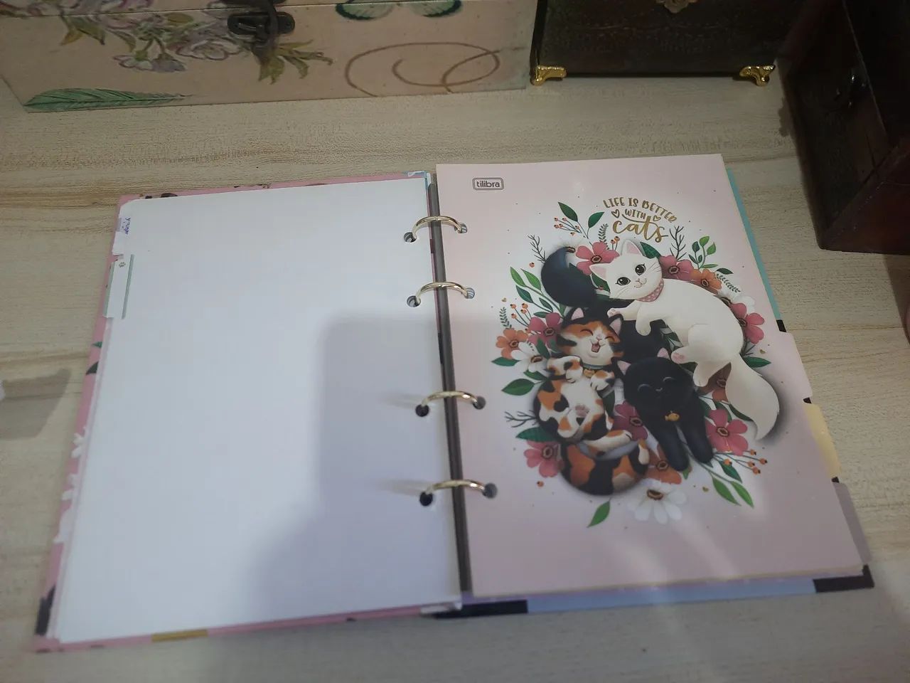 Fichário Colegial - Foto 3