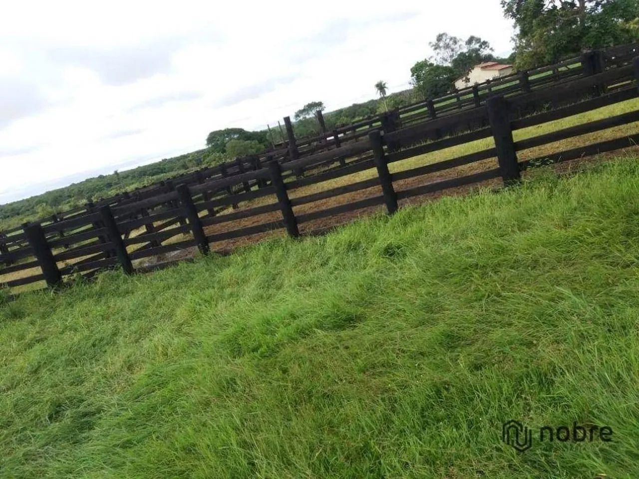 Fazenda à venda, 2109937 m² por R$ 10.000.000,00 - Gurupi - Gurupi/TO - Foto 5