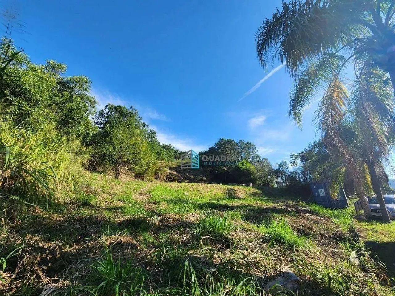 Terreno para alugar, 1613 m² por R$ 12.000,00/mês - Córrego Grande - Florianópolis/SC
