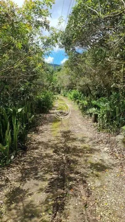 Terreno para Venda em Florianópolis, Ratones - Foto 3