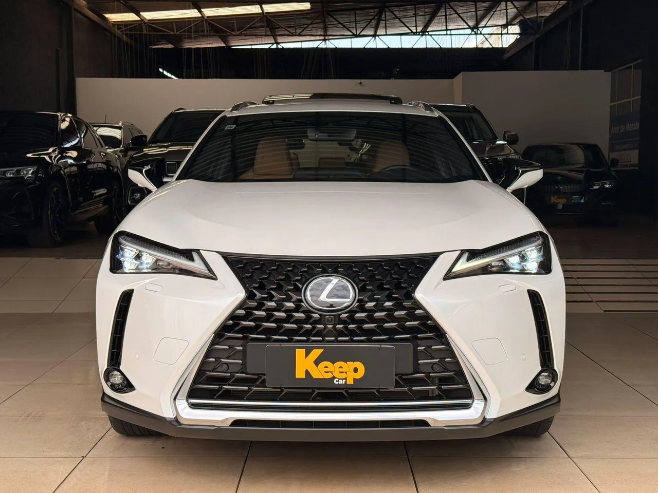 Porno videolarning demo versiyalari