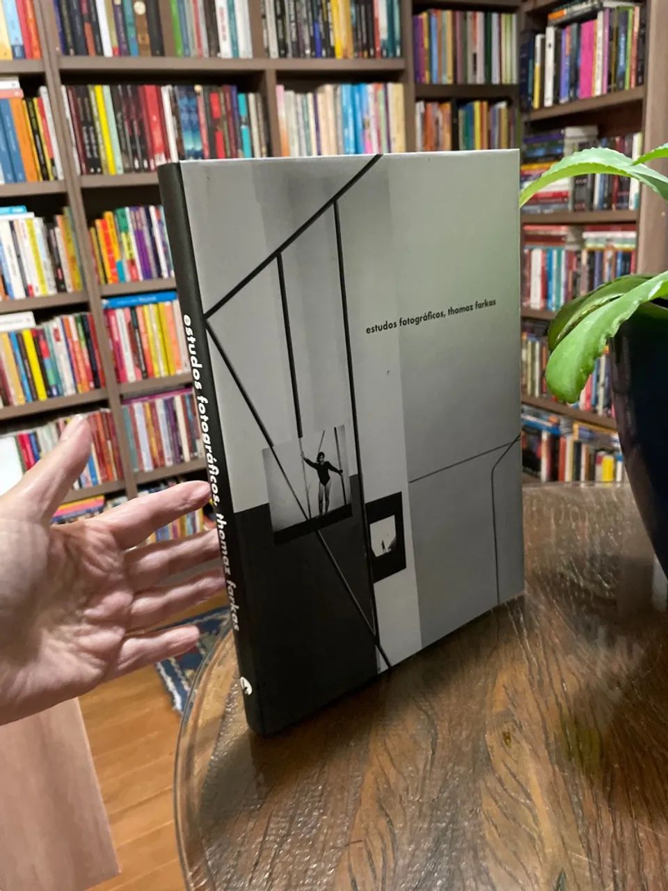 Estudos Fotográficos, Thomas Farkas - Foto 2