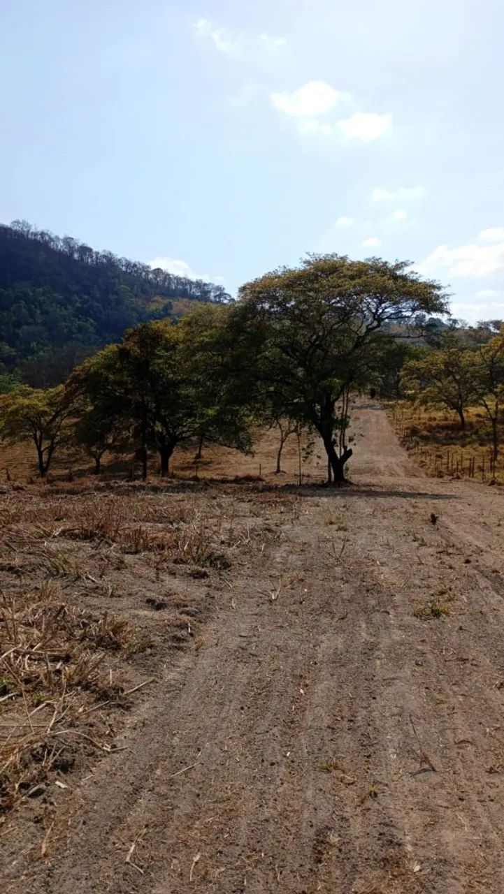 Terreno módulo rural  - Foto 2