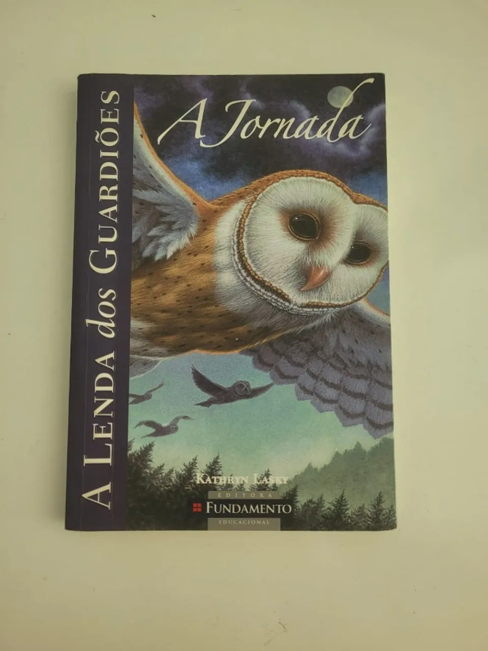 A lenda dos Guardiões: A jornada