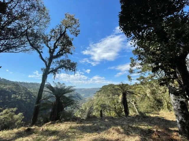 Terreno com Canion em Urubici Serra Catarinense  - Foto 2