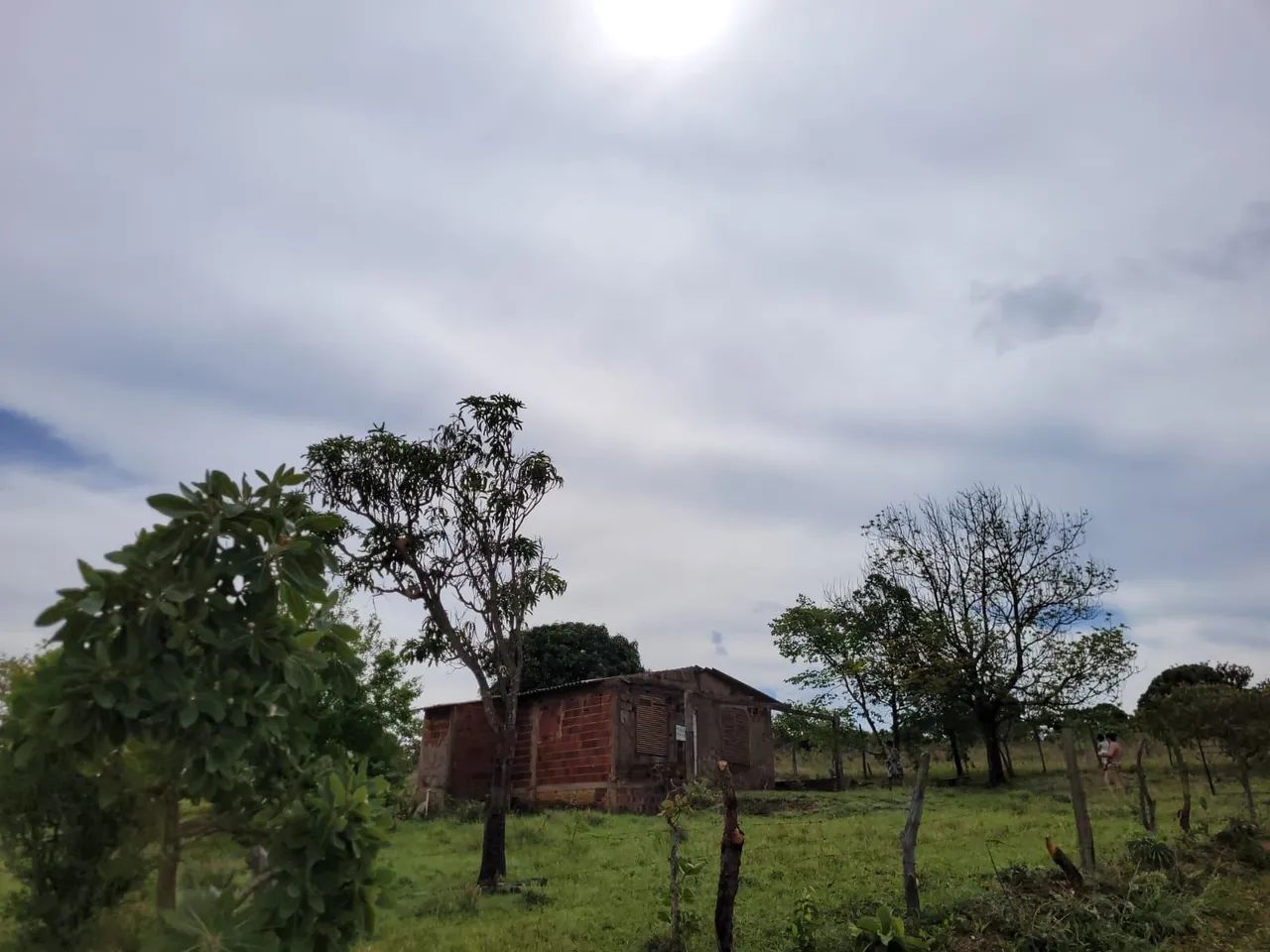 Ótima oportunidade  chácara com casa 5 mil metros quadrados e cisterna  - Foto 2