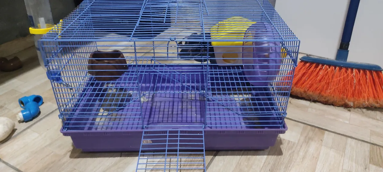 Gaiola para roedores (hamster)