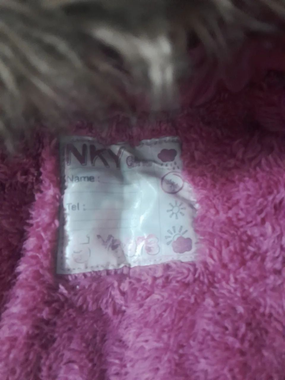 Casaco Rosa Infantil com Capuz, é cor cinza - Foto 2