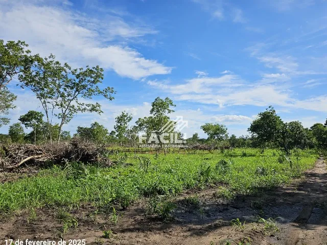 Vende-se Fazenda de 230 Alqueires em Paranã Tocantins