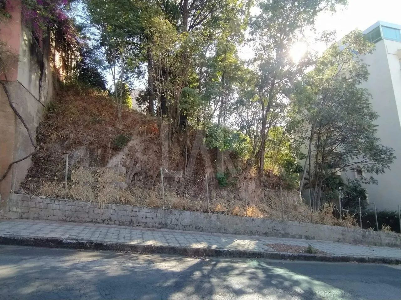 Lote - Terreno à venda, Santa Lúcia - Belo Horizonte/MG - Foto 15