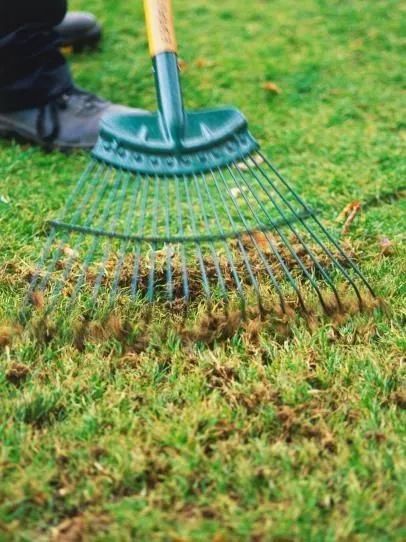 Manutenção em Jardim e Gramados! - Foto 3