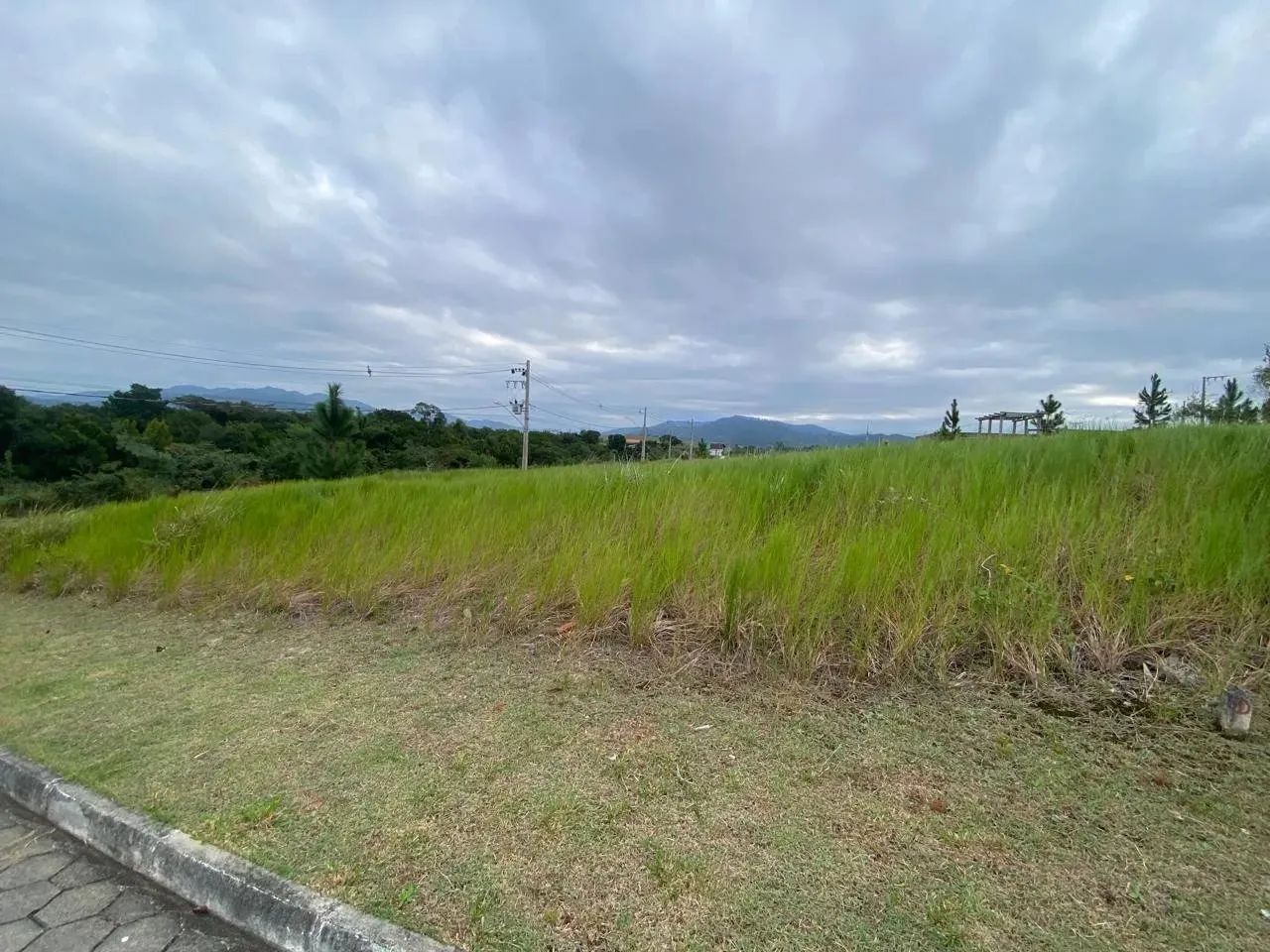 Terreno Areias de Baixo - Foto 4