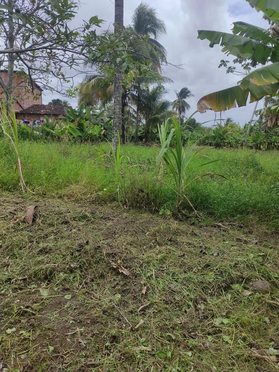 Sítio com casamuito bom na cidade  - Foto 3