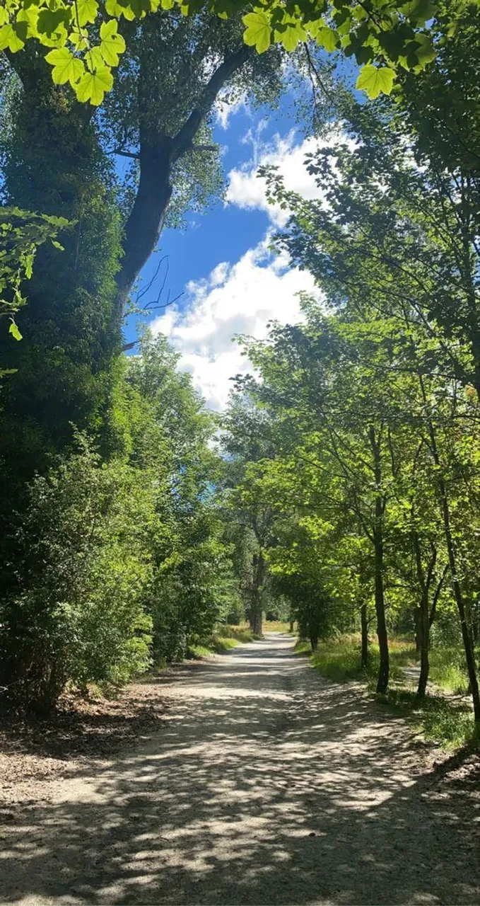 Vista Incrível em Ibiúna: Terreno com Paisagem Exuberante, Perfeito para Relaxar!