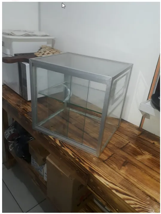 ESTUFA DE VIDRO ESPETINHO E SALGADOS