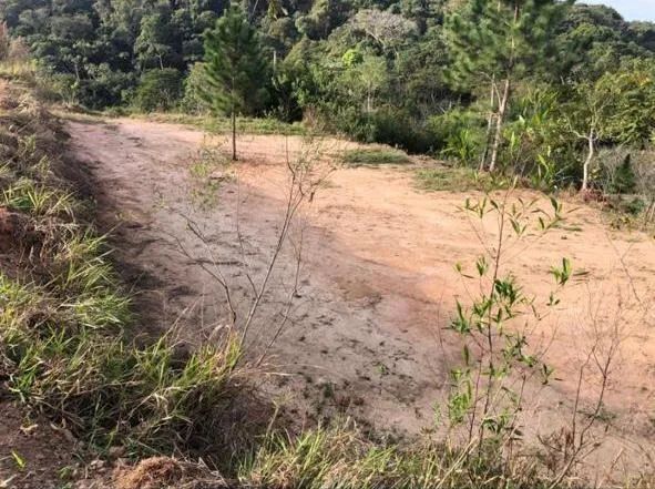 Terreno no Beija Flor - Foto 4