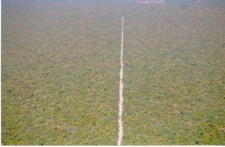 Fazenda em Redenção do Gurgueia-PI - Foto 2