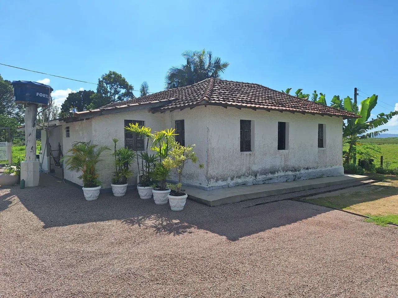 Sítio fazenda  - Foto 2