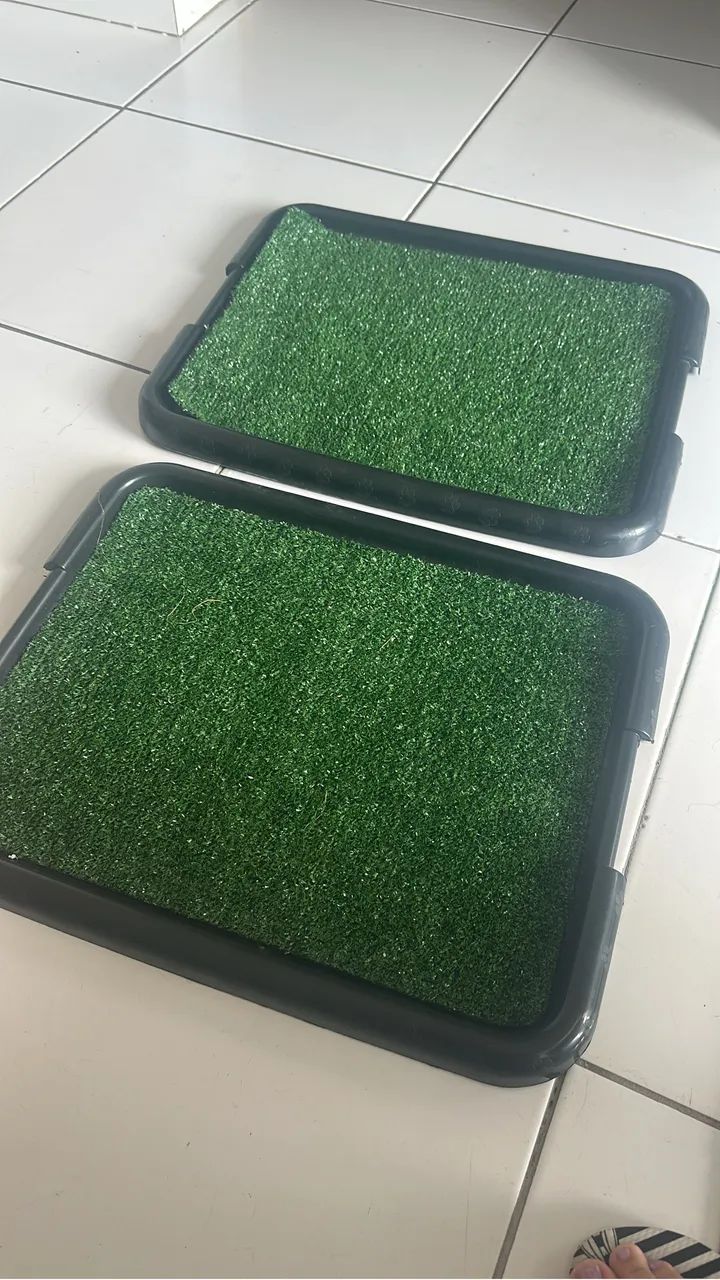 Casinha para transporte de pet - Foto 2