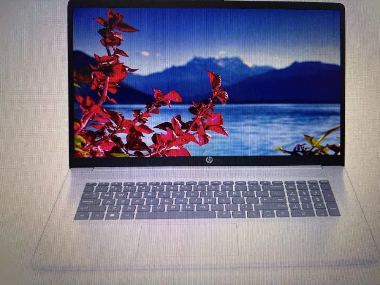 Notebook HP 17.3 AMD Ryzen 5 7520U 