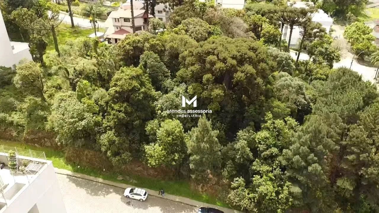Terreno para permuta próximo da UCS - Foto 2