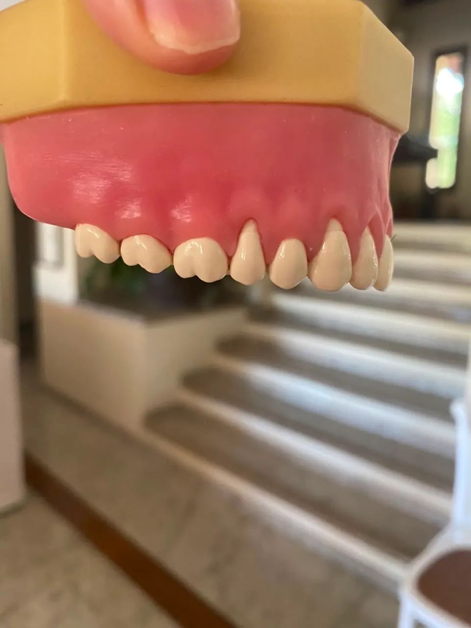 Manequim de Periodontia - Foto 2