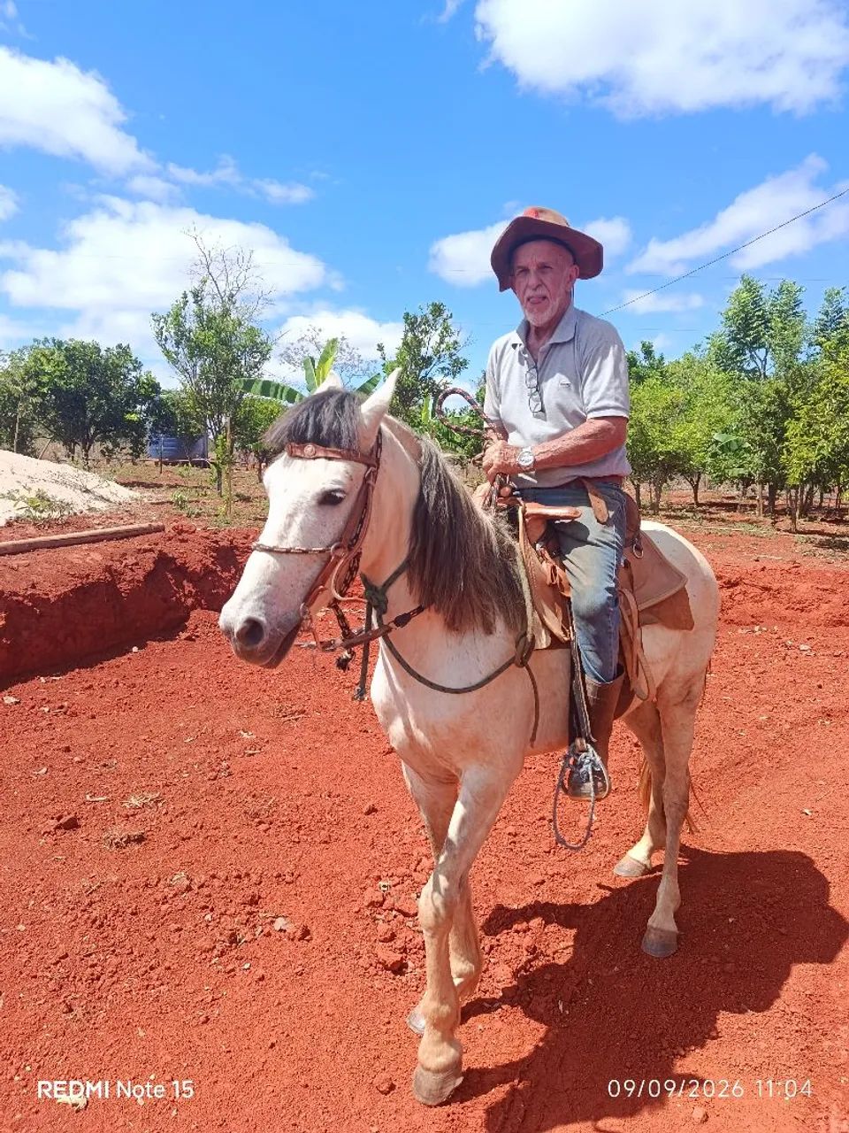 Cavalo a venda - Foto 3