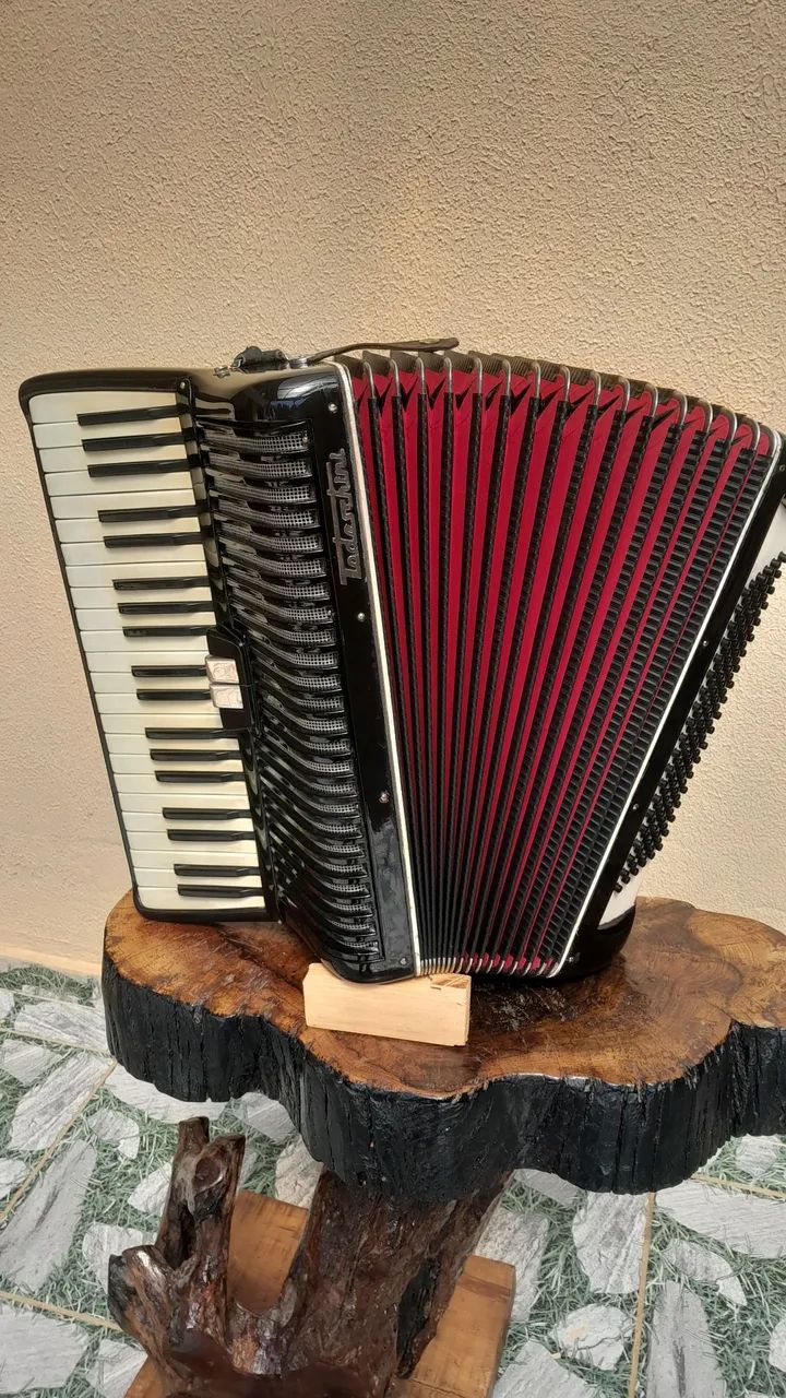 Acordeon todeschini 120 baixo  - Foto 5