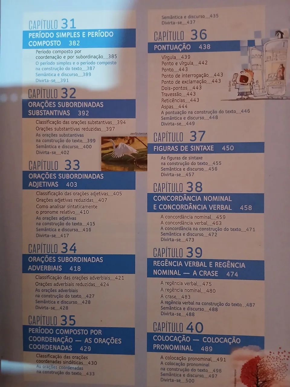 Gramática texto reflexão e uso  - Foto 5